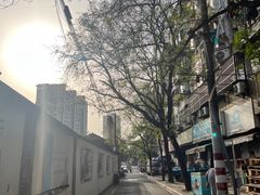 -老太皮肚面