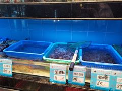 -渔傅印象滩涂霞浦海鲜(井大路店)