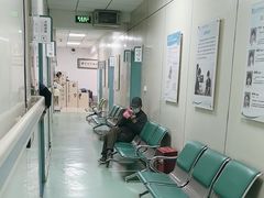 -北京观赏动物医院·24小时大型综合·猫专科·异宠专科