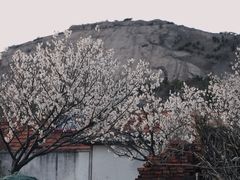 -威海大乳山景区