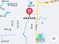 -新概念来凤鱼(璧山店)