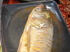 -销魂美蛙鱼头火锅(上海首店)