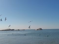 -老虎石海上公园