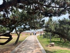 -青岛第三海水浴场