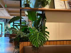 -Wagas沃歌斯(枫蓝国际店)
