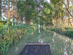 -上海长兴岛郊野公园