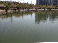 iphone_upload_pic-新江湾城公园