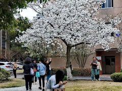 -浙江大学(玉泉校区)
