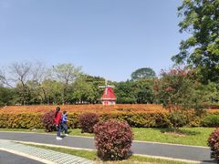 -东莞植物园