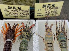 -蚝得喜海鲜(东城店)