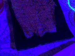 -云晓光头烧烤吧(川沙绿地店)