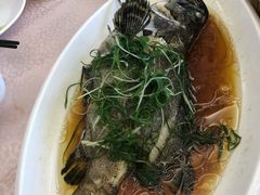 -東海海鲜酒家(中信广场店)