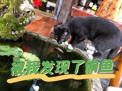 -安仁古镇