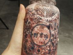 -野萃山·潮汕厚果汁(十亩地店)