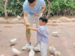 -灵玲国际马戏城