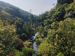 -云溪植物园