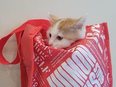 -萌兽医馆·犬猫专科·眼科中心·宠物医院(朝阳门分院)