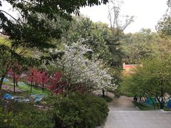 -南山植物园