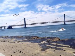 -星海广场