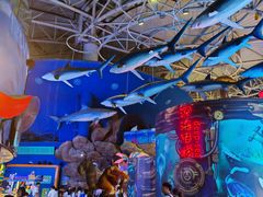 -烟台海昌鲸鲨海洋公园