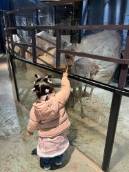 点击看大图 -酷嗒动物文化乐园(cutezoo西溪乐天城店)