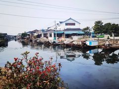 -莲花岛景区