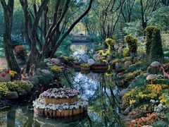 -上海共青森林公园