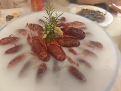-杨氏青龙虾·羊蝎子(珠江路店)