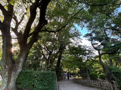 -名古屋城