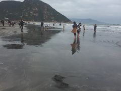 -台山黑沙湾海浴场