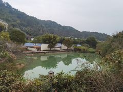 -乳源丽宫国际温泉酒店