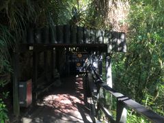 -怀托摩萤火虫洞