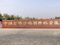-金塔沙漠胡杨林景区