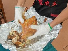 -古榕农庄·桑拿簸箕菜·招牌泥焗鸡(清远长隆店)
