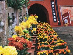 -乐山大佛风景名胜区乌尤寺南门-售票点