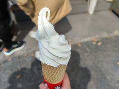 -蜜雪冰城(浙江大学店)