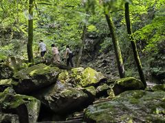 -藏龙百瀑风景区