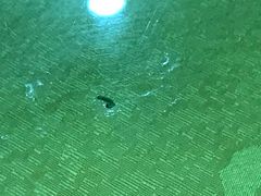 -安记烧鹅(新桥店)