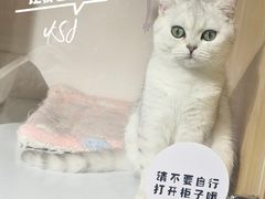 -美罗城