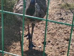 -亿利库布其七星湖沙漠生态旅游区