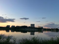 -大兴滨河森林公园