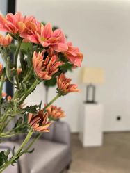 -LB·海菲秀牛奶光官方体验中心