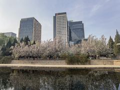 -海棠花溪(元大都城垣遗址公园)