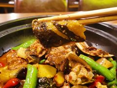 口味甲鱼-湘里乡亲甲王二老店