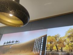 -西域胡氏大盘鸡(谈固店)