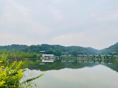 -芦仙山景区-飞越丛林探险乐园