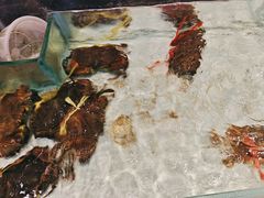 -许家菜.艺创菜(仁和新城店)