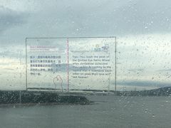 -琴岛之星摩天轮