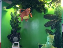 -恐龙探索乐园(磁器口店)