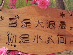-北京凤凰岭
